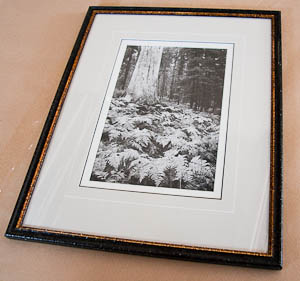 Example of Custom Framing